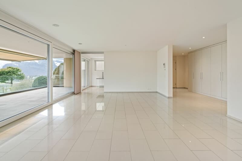 Appartement de terrasse exclusif 4.5 pièces avec belle vue (3)