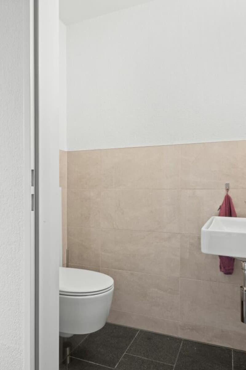 5.5 Zimmer Maisonette Wohnung (8)