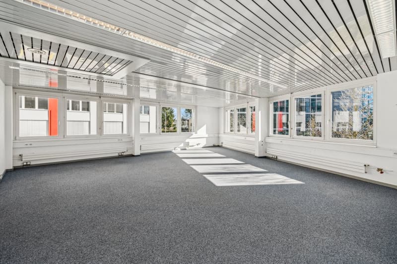 modern office room, large windows, gray carpet, ceiling design