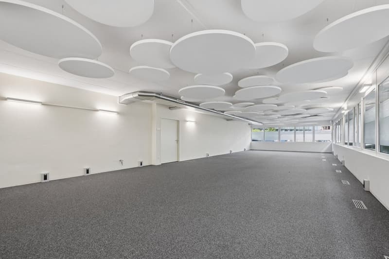 Spazio commerciale attraente al piano terra in una posizione centrale a Opfikon (6)