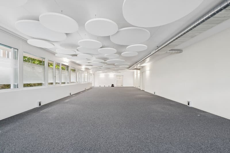Spazio commerciale attraente al piano terra in una posizione centrale a Opfikon (5)