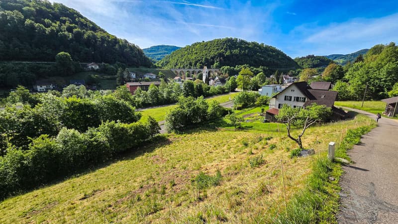 Bauland mit unverbaubarer Weitsicht in Rümlingen (2'024 m²) (1)