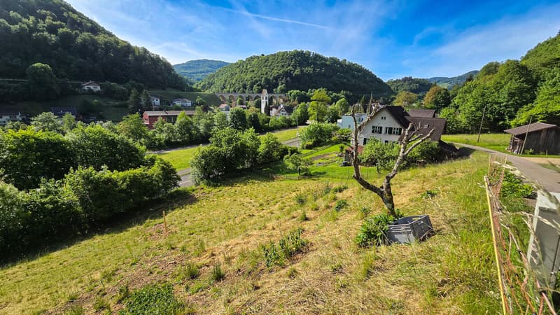 Bauland mit unverbaubarer Weitsicht in Rümlingen (2'024 m²) (8)