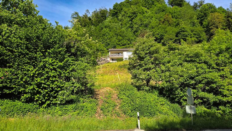 Bauland mit unverbaubarer Weitsicht in Rümlingen (2'024 m²) (2)