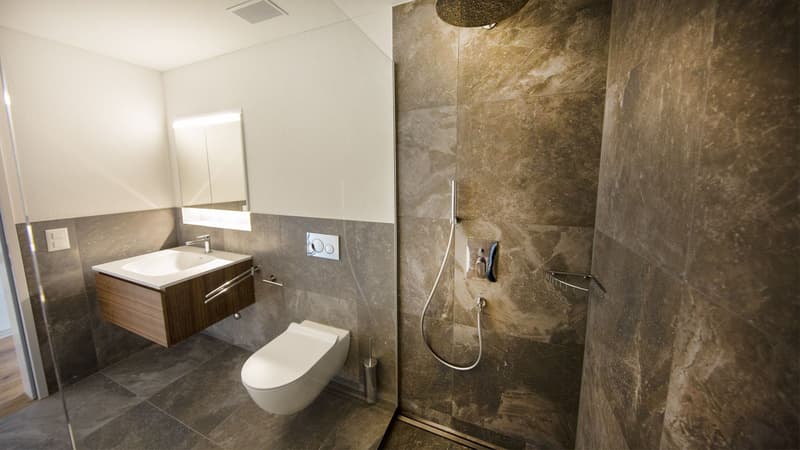 Bright 4.5-room apartment with balcony in Neudorf for sale (6)