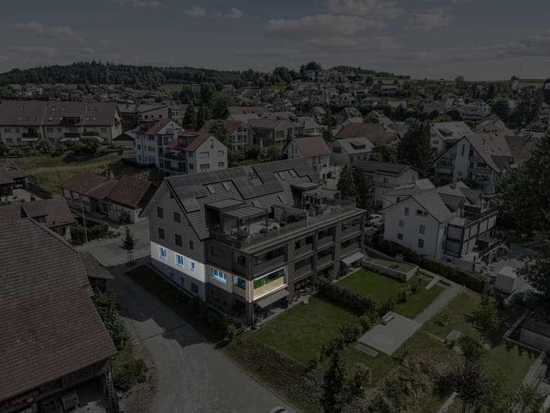 Appartamento 4.5 locali di alta qualità con standard Minergie a Hägglingen (13)