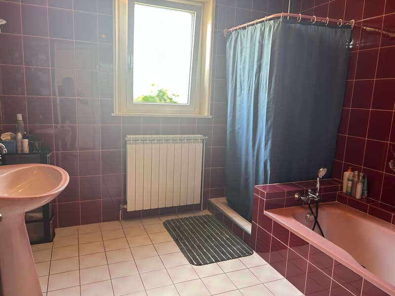 7.5-room country house with 1 ha of land in Monthureux-sur-Saône (FR) near Basel and Boncourt (9)