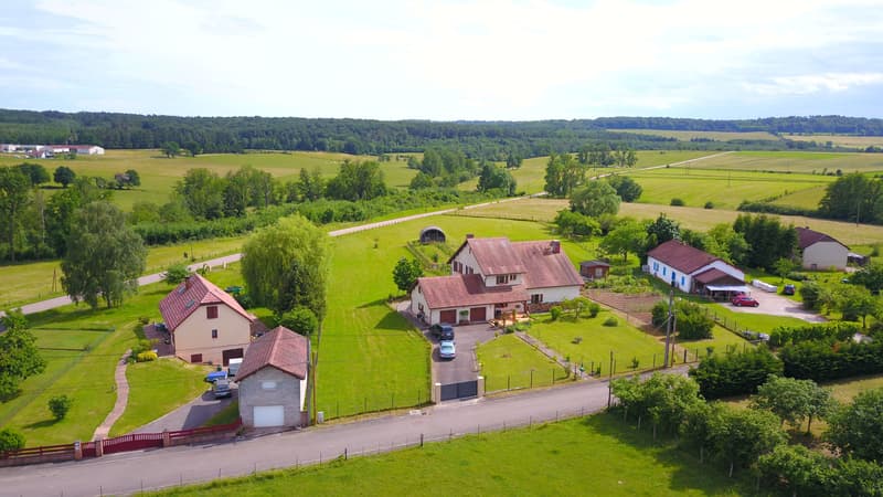 7.5-room country house with 1 ha of land in Monthureux-sur-Saône (FR) near Basel and Boncourt (1)