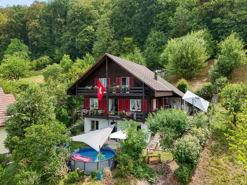 Charmantes 5.5-Zimmer-Bijou am Waldrand mit grossem Grundstück und Weitblick (1)