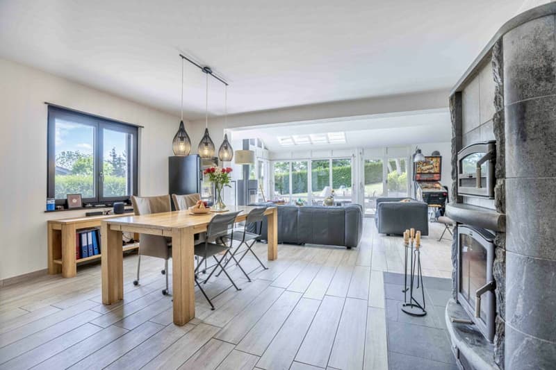 Magnificent individual villa with 4 rooms 1/2 and independent studio on a very beautiful plot of 1'240 m2 (7)