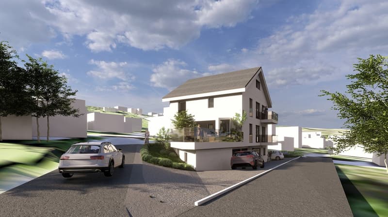 Modernes Einfamilienhaus mit 8.5 Zimmern in Reiden – Grosszügig, ruhig und sofort verfügbar (2)