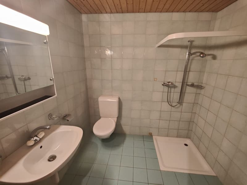 2.5-room apartment with balcony in Broc (4)