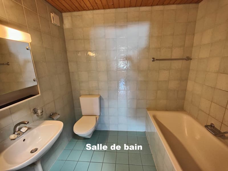 3.5 room apartment for sale in Broc (6)
