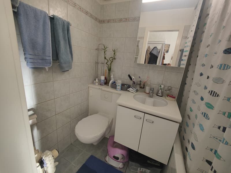 Bright 3.5-room apartment in Romont (5)