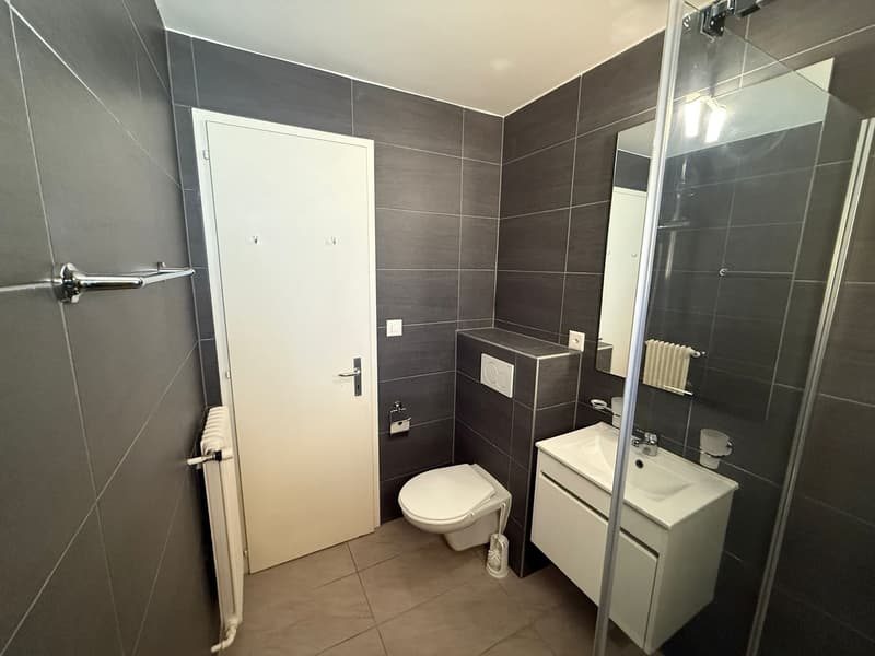 Wohnung mit 3.5 Zimmern in Pringy (7)