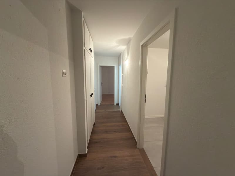Charmanter Apartment mit 2.5 Zimmern in Bulle (3)