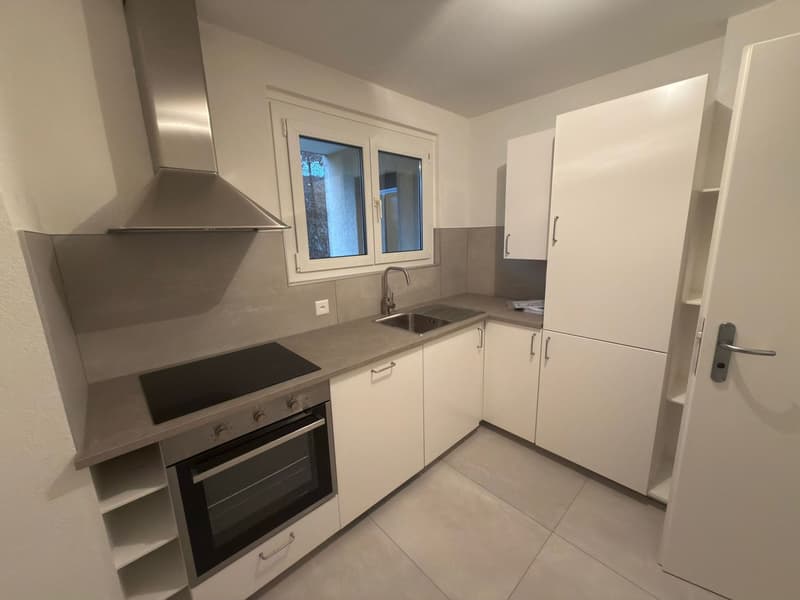Charmanter Apartment mit 2.5 Zimmern in Bulle (1)