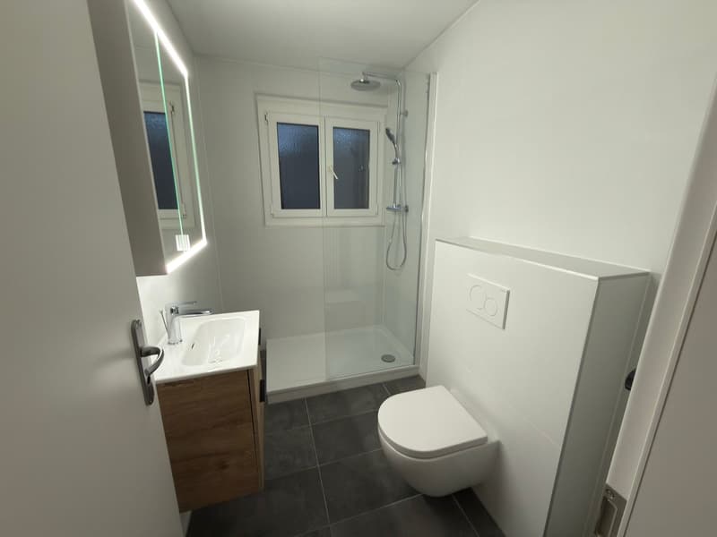 Charmanter Apartment mit 2.5 Zimmern in Bulle (2)