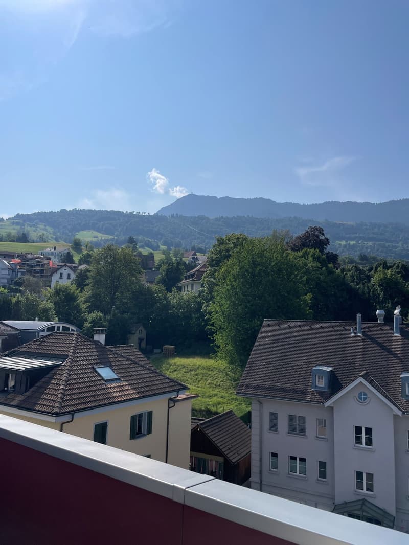 Aussicht Dachterrasse Richtung Rigi