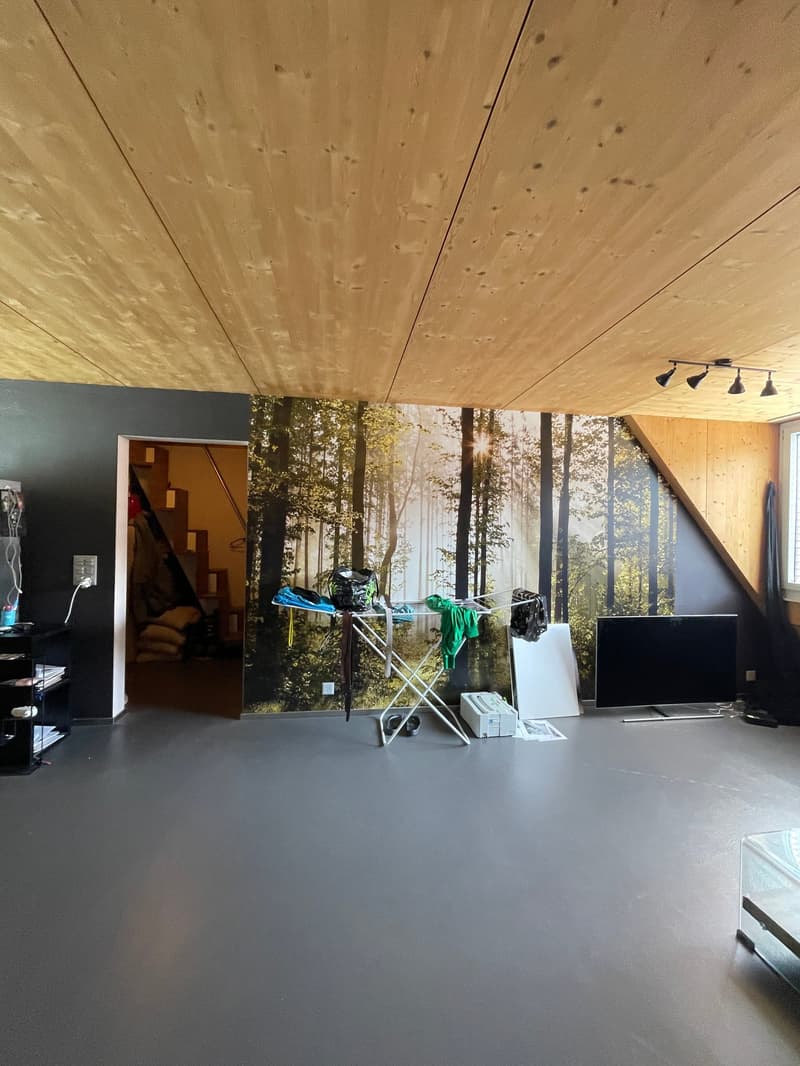 Appartamento accogliente 2 locali con terrazza sul tetto e vista su Rigi & Pilatus (4)
