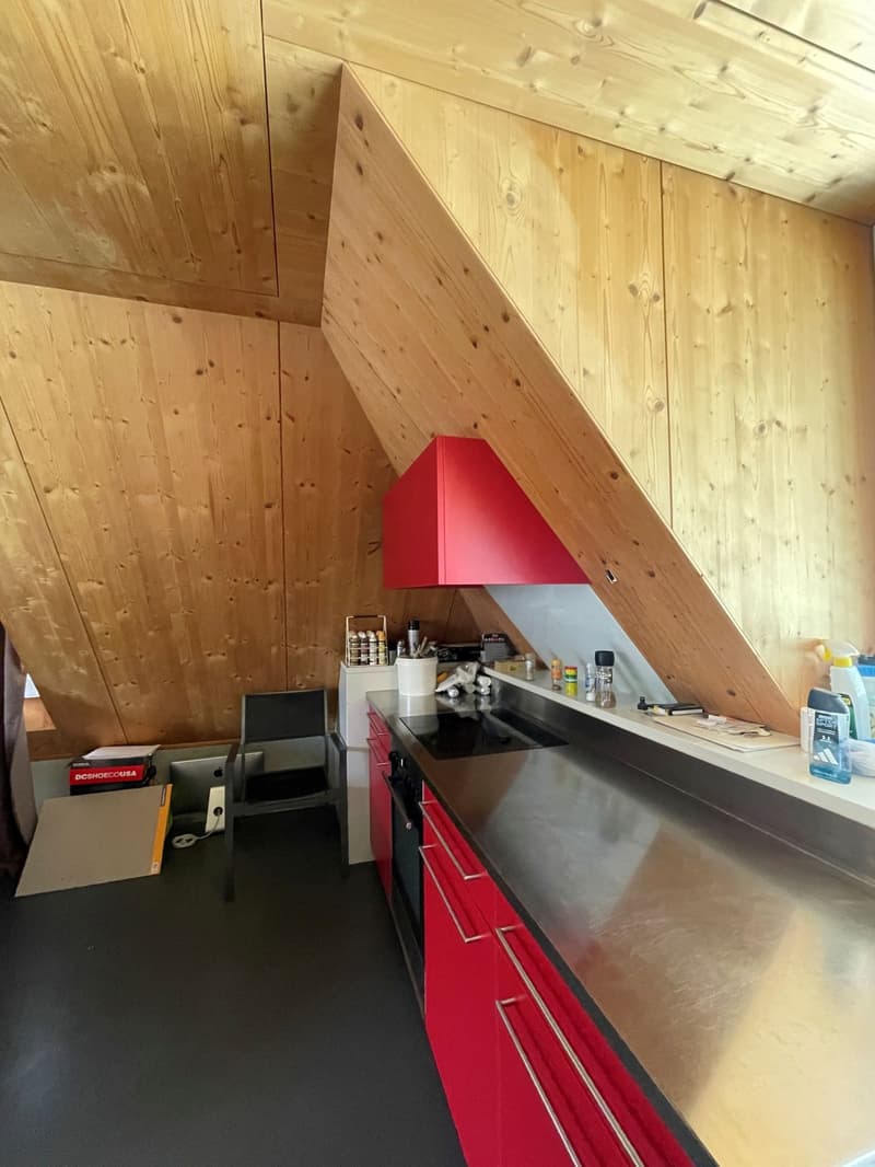 Appartamento accogliente 2 locali con terrazza sul tetto e vista su Rigi & Pilatus (2)