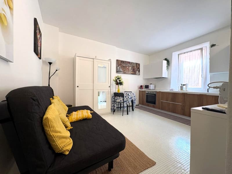 EXCELLENT OPPORTUNITY, PROPERTY WITH LICENSE FOR RENTING ROOMS (5)
