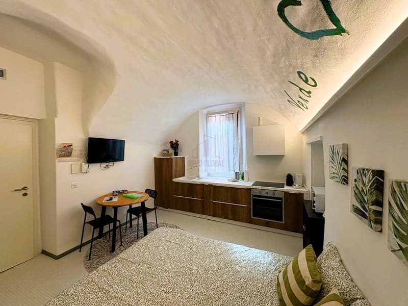 EXCELLENT OPPORTUNITY, PROPERTY WITH LICENSE FOR RENTING ROOMS (2)
