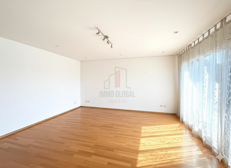 SPLENDID ATTIC AWAITING A NEW FAMILY (3)