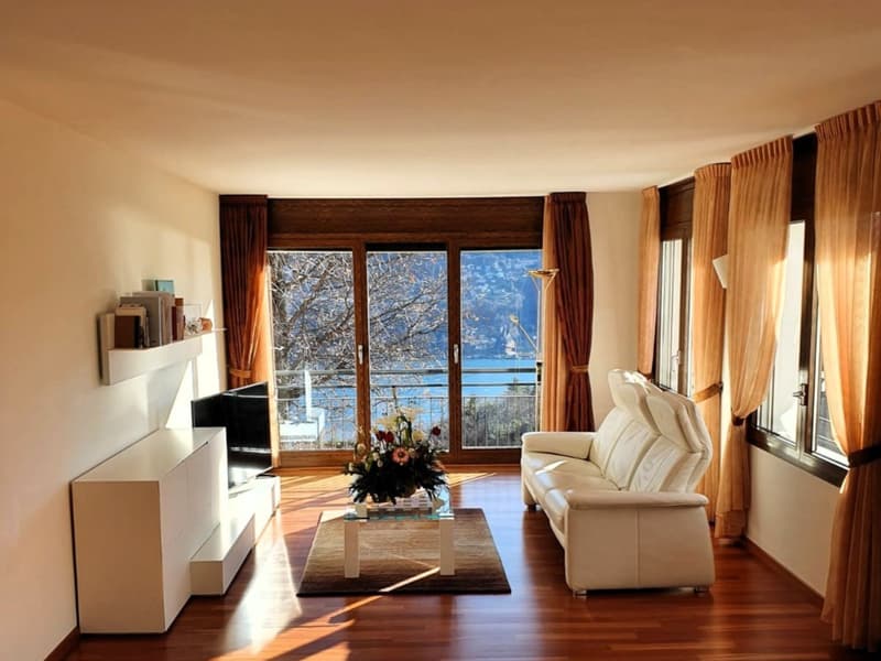 For Your Holidays in Ticino (1)