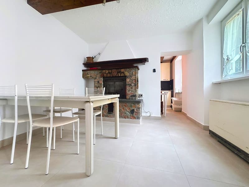 NEW PRICE, RENTAL INCOME, TWO STEPS FROM THE LAKE (1)