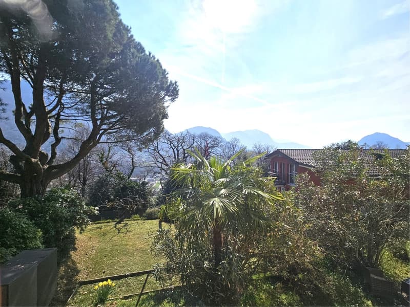LUMINEUX, RÉNOVÉ, GRANDE TERRASSE ET VUE SPLENDIDE (10)