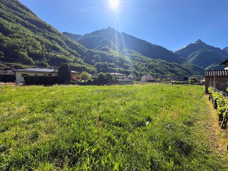 Im Sonnenetal, eine Investitionsmöglichkeit (5)