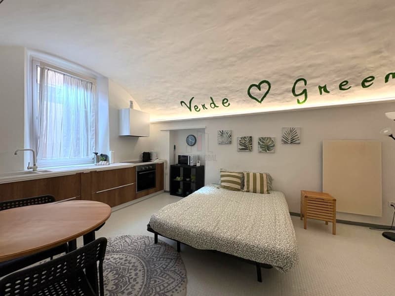 EXCELLENTE OPPORTUNITÉ, IMMEUBLE AVEC LICENCE DE LOCATION DE CHAMBRES (4)