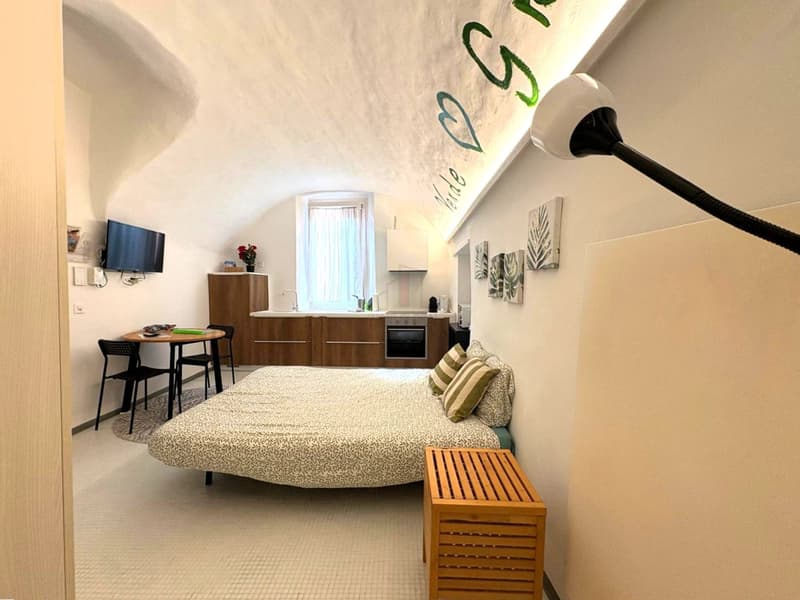 EXCELLENTE OPPORTUNITÉ, IMMEUBLE AVEC LICENCE DE LOCATION DE CHAMBRES (3)