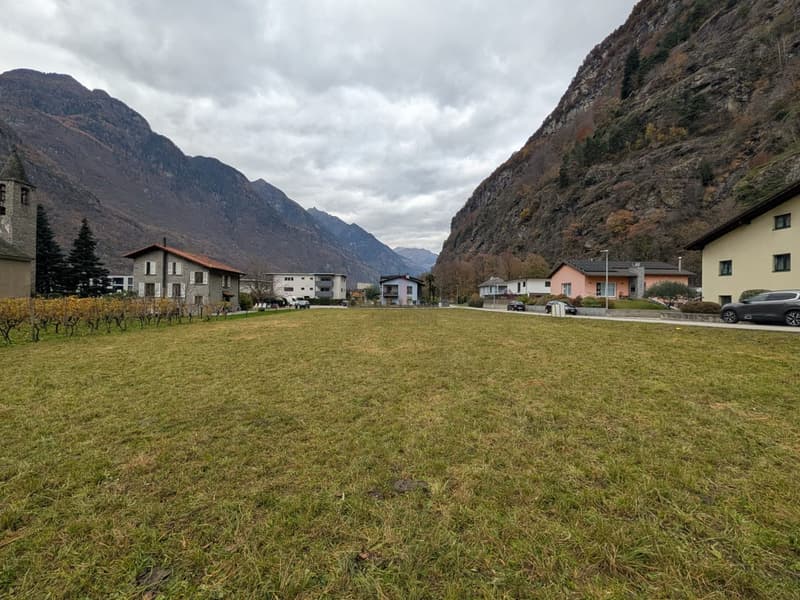 Großes Baugrundstück mit großem Potenzial (5)