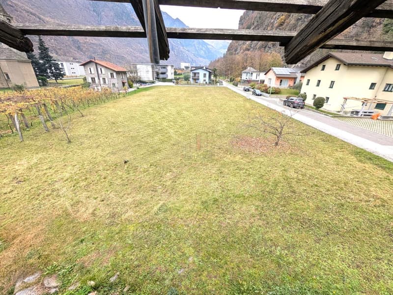 Großes Baugrundstück mit großem Potenzial (3)