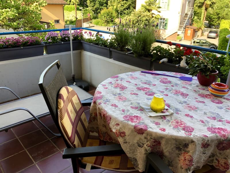 Vente en bloc 5 PPP à Agno (9)