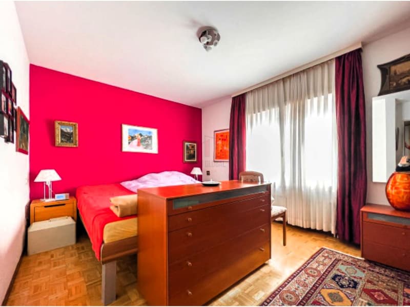 Vente en bloc 5 PPP à Agno (4)