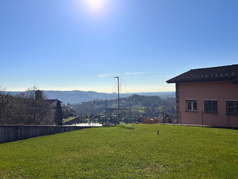 Dein Zuhause im Grünen (2)