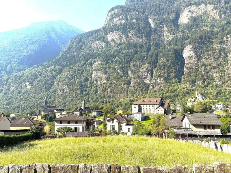 Gebäude in sonniger Wohngegend, umgeben von Grün (6)