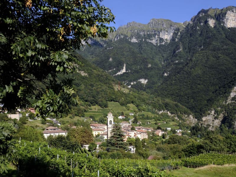 BAUE DEIN HAUSS MIT SEEBLICK (10)