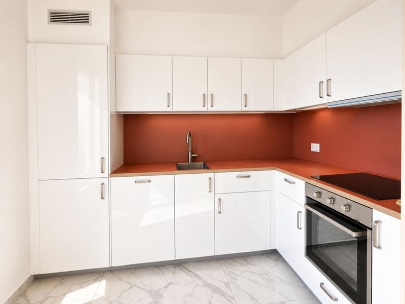 Living two steps from the lake, renovated 3-room apartment with lake view (1)