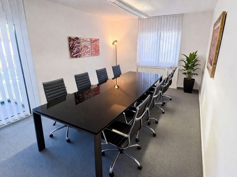 Versatile Administrative Space Furnished for Rent (1)