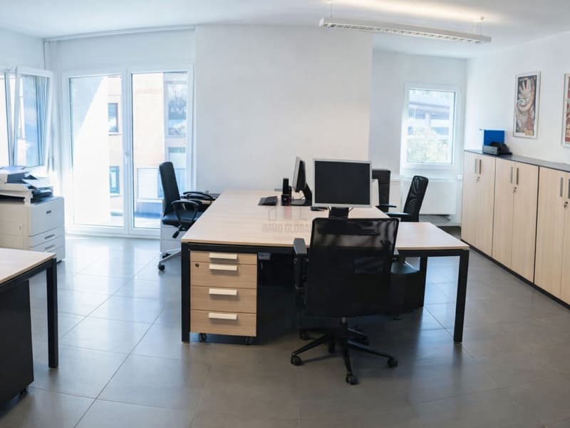 Versatile Administrative Space Furnished for Rent (2)