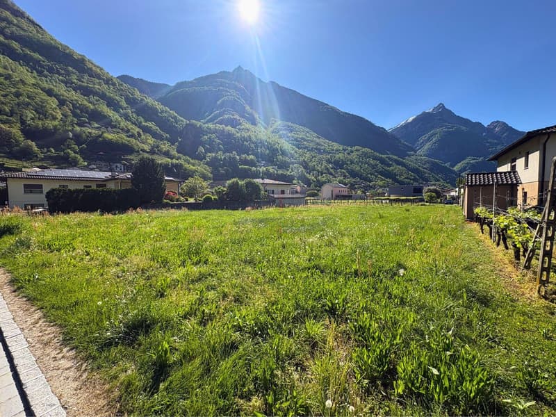 In the Valley of the Sun, Opportunity to Invest (1)