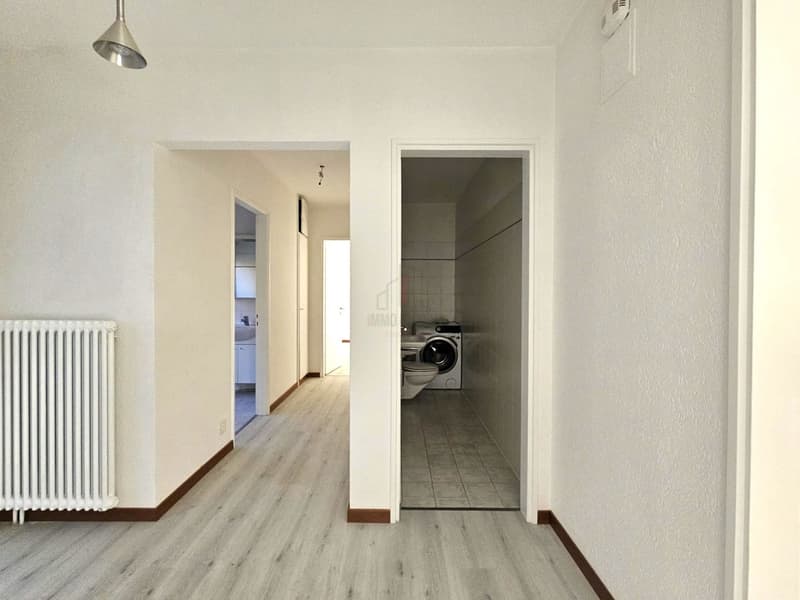 RENOVATED, SPACIOUS TERRACE AND SPLENDID VIEW (10)