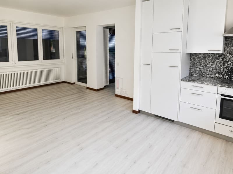 RENOVATED, SPACIOUS TERRACE AND SPLENDID VIEW (1)