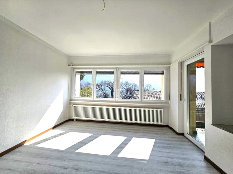 RENOVATED, SPACIOUS TERRACE AND SPLENDID VIEW (2)