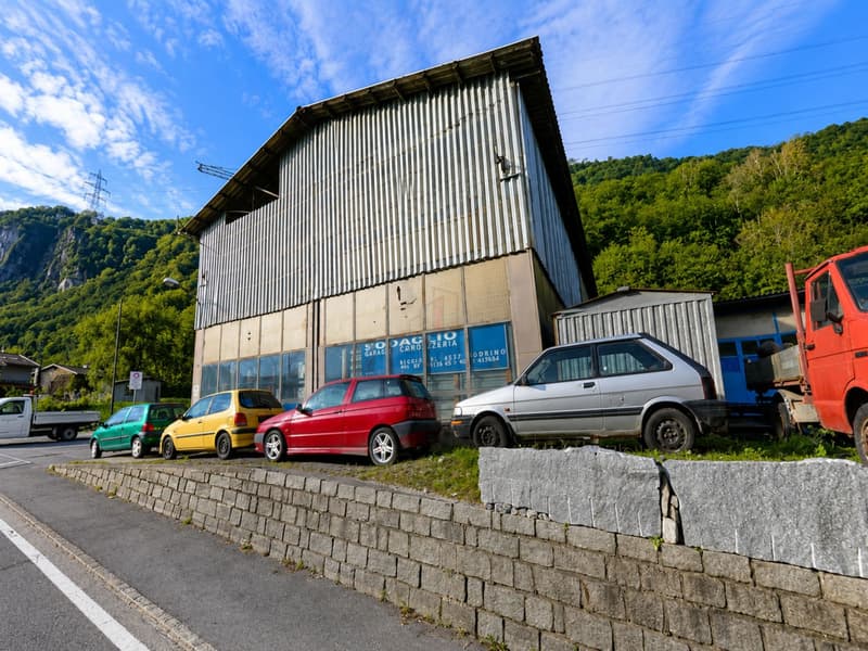 PER IMPRENDITORI, REDDITO ELEVATO E GARANTITO (3)