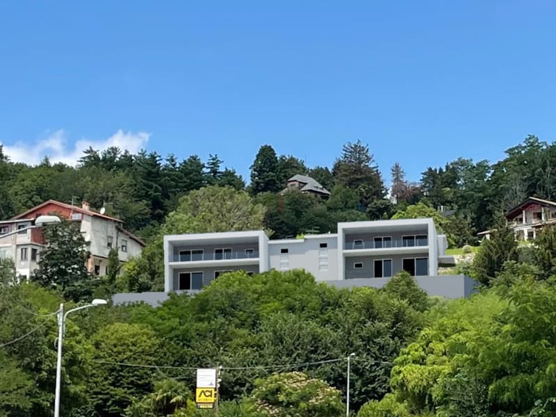 PRESTIGIOSA VILLA INDIPENDENTE A DUE PASSI DALLA SVIZZERA (3)